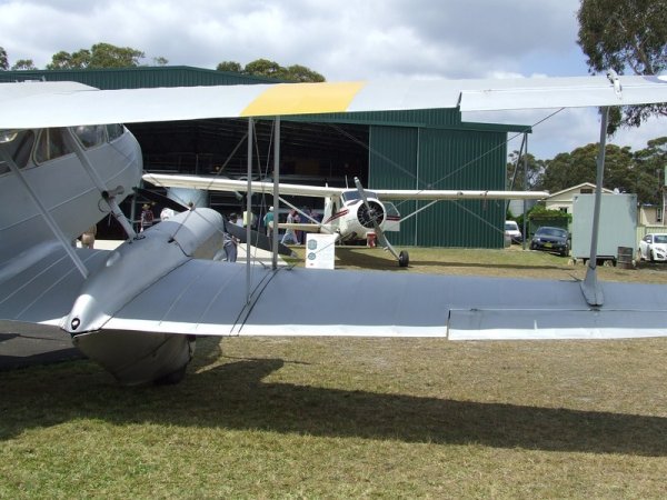 Beaver