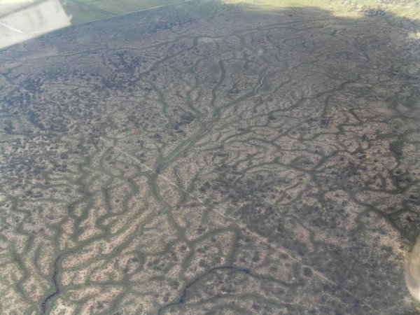 The Hay plain looks so desolate from the road, but from up here there was water everywhere...