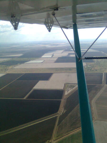 1325742799_Temora2012187.thumb.jpg.5b82f44cd770c05e6f882ef3463f8657.jpg