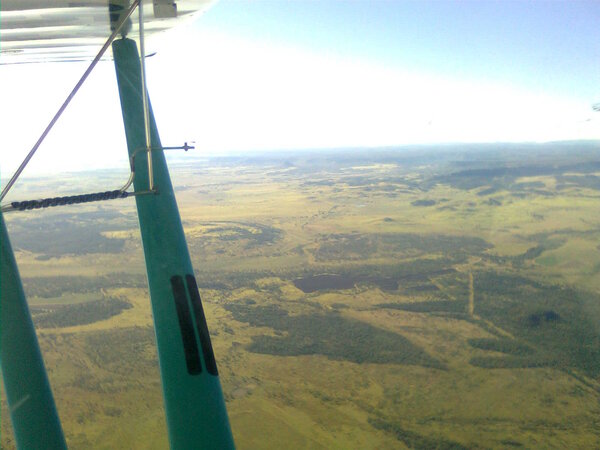 566321246_Temora2012001.thumb.jpg.0548da264586c07c989d1c3c0f0d9798.jpg