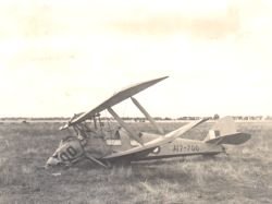 tigermoth.jpg
