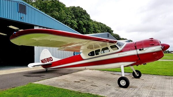 Cessna 195 N1581D.jpg