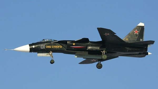 Sukhoi_Su-47_in_2008.jpg