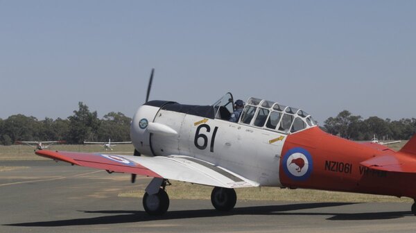 Temora21-19.jpg