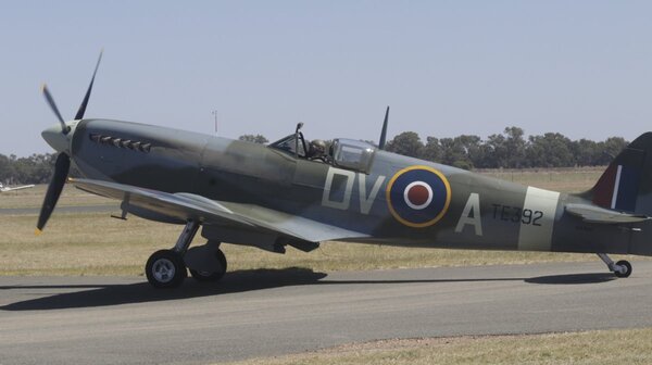 Temora21-49.jpg