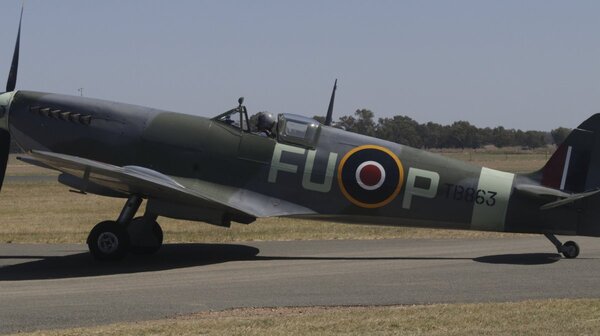Temora21-50.jpg