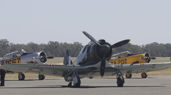 Temora21-53.jpg