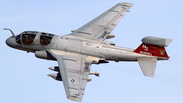 Grumman Prowler EA-6B 900.jpg