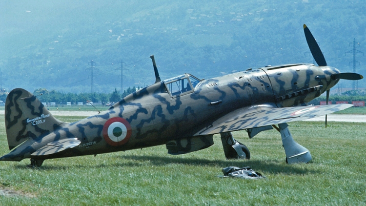 Macchi C.205 Veltro - Warbirds - Aircraft Pilots