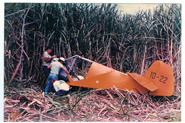 873753247_AircraftinSugarCane..thumb.jpg.d611b967cbe011db9b5405595feea3c4.jpg