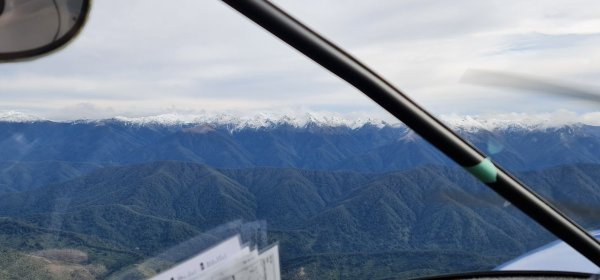 2022-08-15 12.10.44.jpg