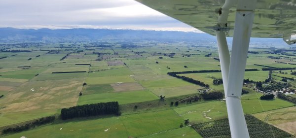 2022-08-15 12.52.16.jpg