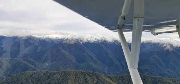 2022-08-15 12.13.05.jpg