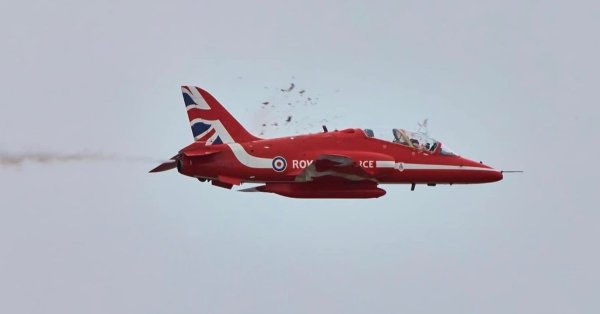 826559231_RedArrowbirdstrike.thumb.jpg.b2bb6db17821ccfec77263fdab78995a.jpg