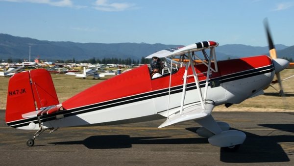 Kaminskas Jungster I 02.jpg