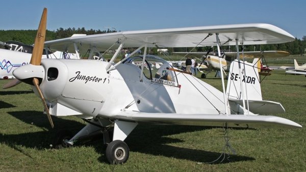 Kaminskas Jungster I 03.jpg