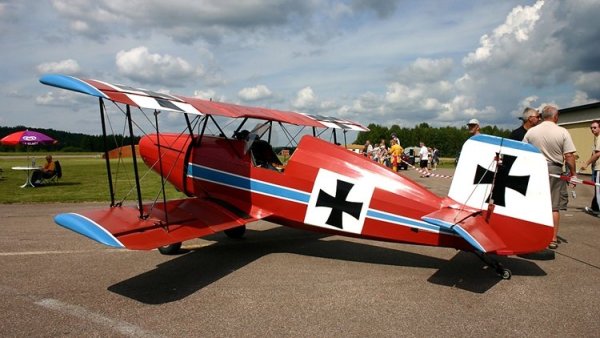 Kaminskas Jungster I 01.jpg