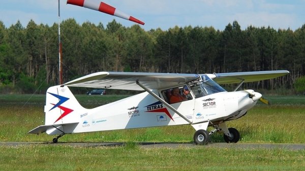 Humbert Tétras 02.jpg