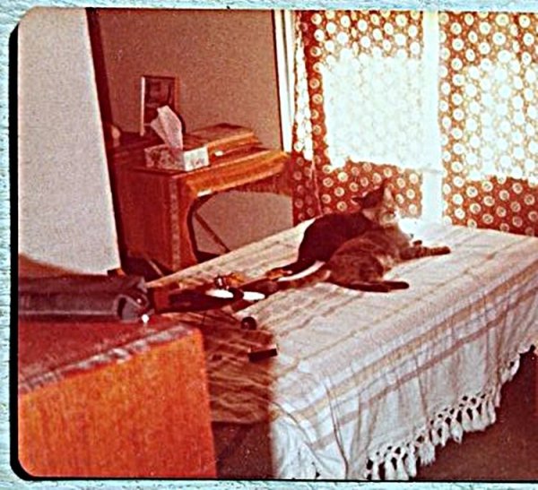 Danny G's image..jpg