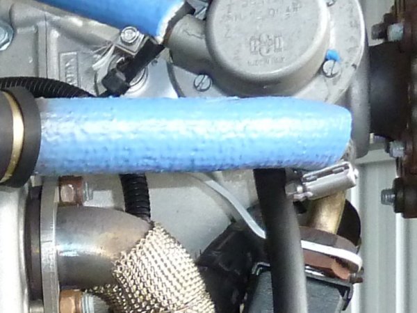 P1020768 Close view.JPG