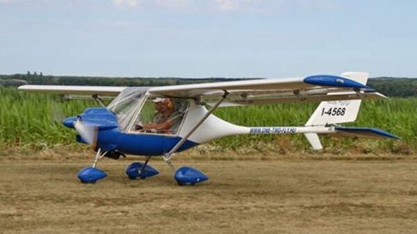 Fly Synthesis Storch 04.jpg