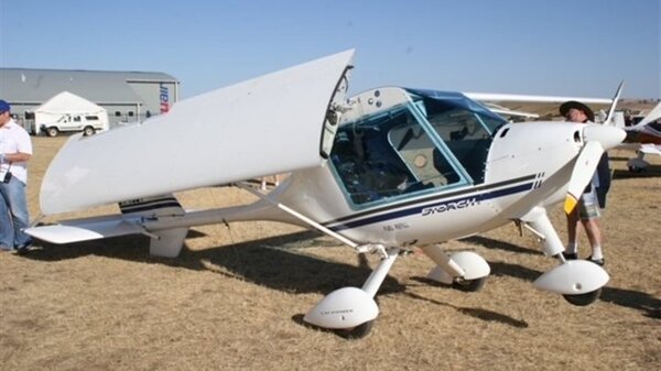 Fly Synthesis Storch 05.jpeg