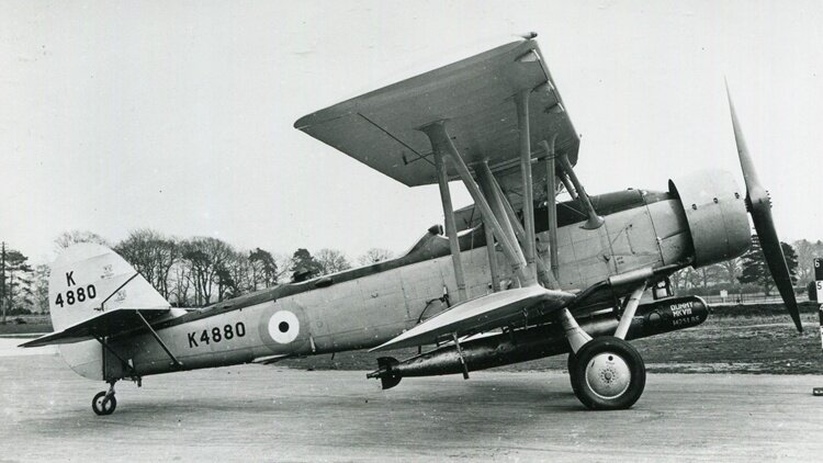 More information about "Blackburn Shark"