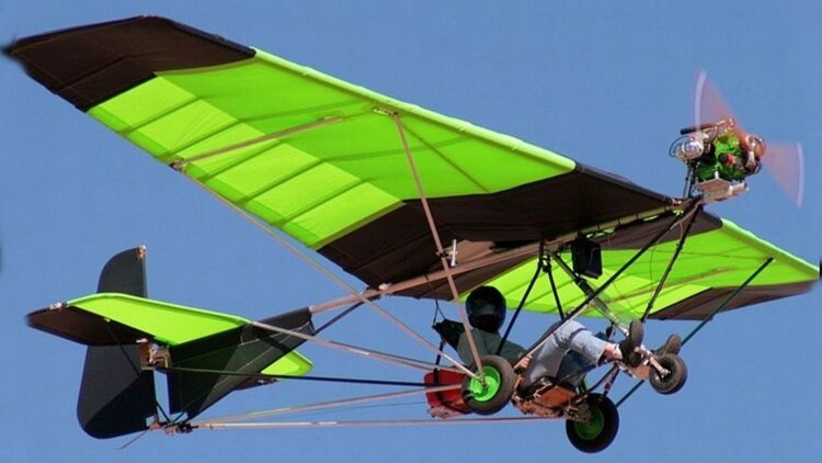 More information about "Chotia Weedhopper"