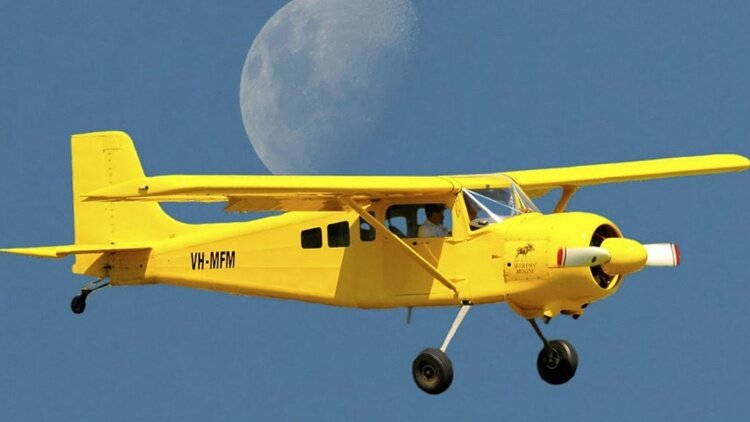 More information about "Murphy Moose"