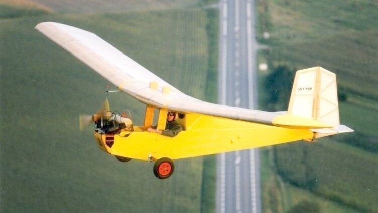 More information about "Wood Sky Pup"