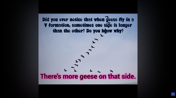 Screenshot from 2026-01-22 07-13-05.png