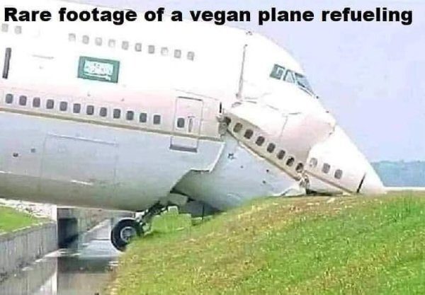 veganplane.thumb.jpg.55a5ae5f174f7c5d4f58d0d765bb81c7.jpg