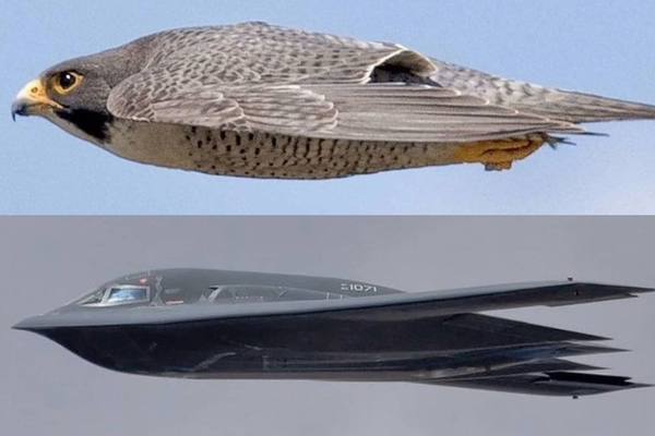 Screenshot 2026-03-20 at 11.36.56.png