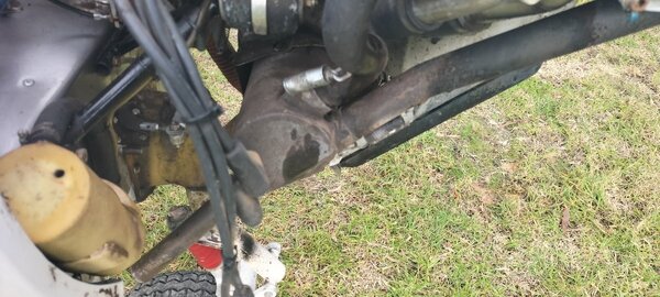 IMG20260619120520.thumb.jpg.678a3dabb721e044939cc6086336f5e9.jpg