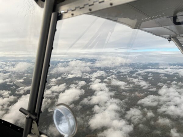 IMG_9498.jpeg
