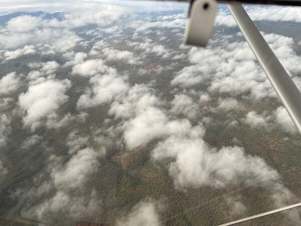 IMG_9502.jpeg